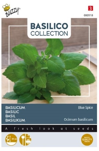 Bazalka Ocimum americanum x Ocimum basilicum Blue Spice cca 0,5 g